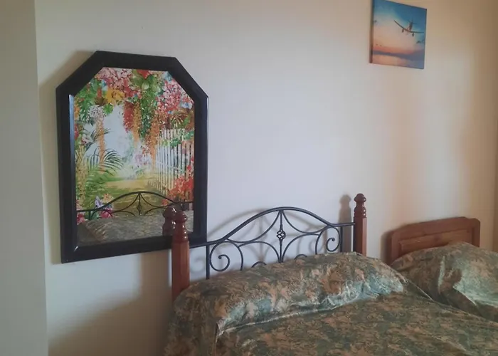 Coral Paradise * Szafaga